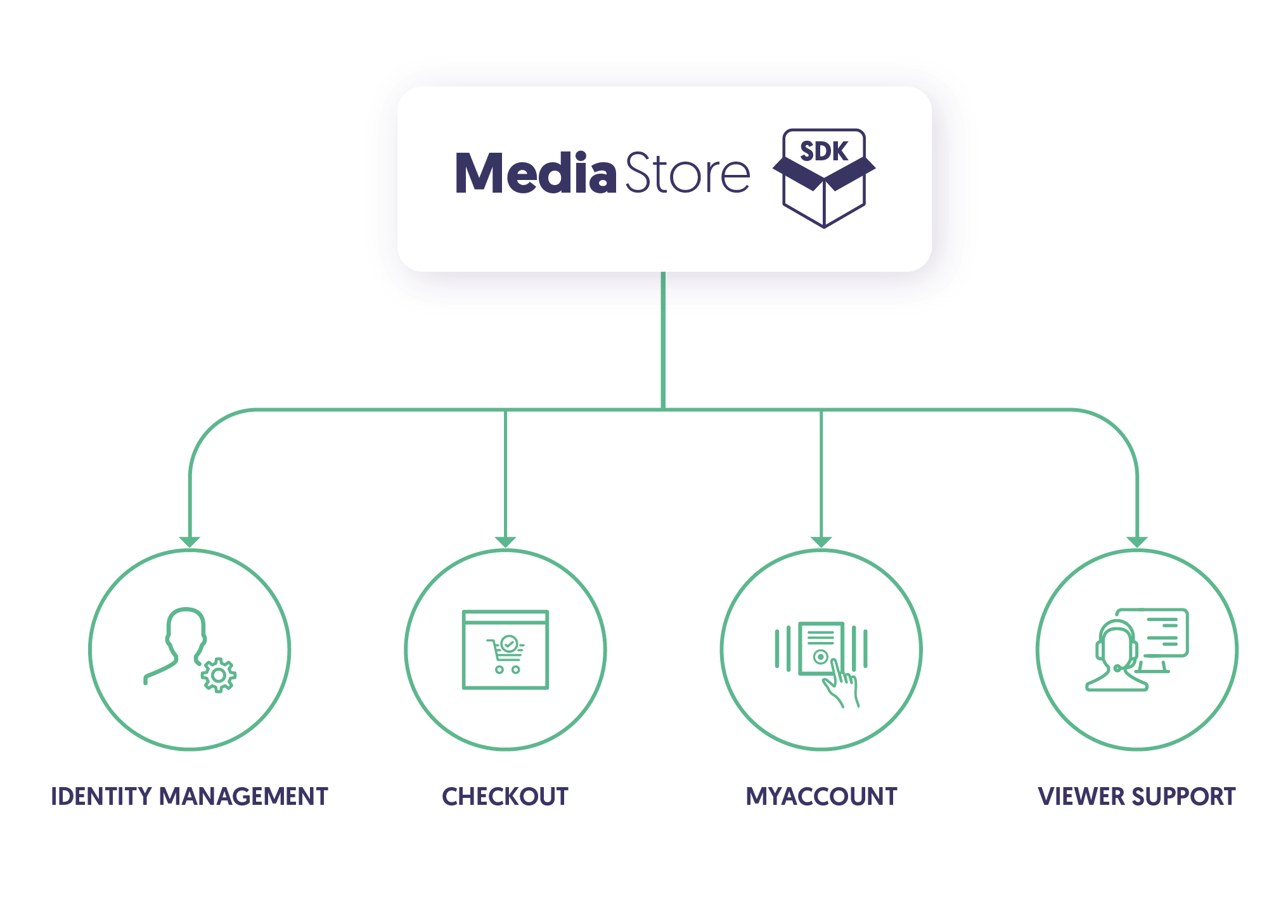 MEDIASTORE segments