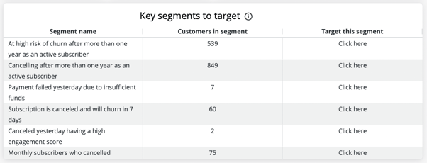 An example of key customer segments to target, presented within the ChurnIQ dashboard