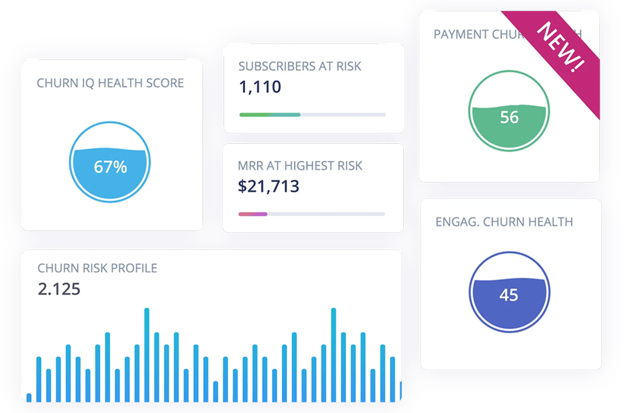 ChurnIQ-kpis-cleeng