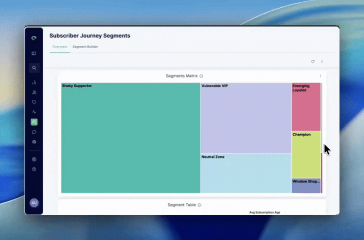 Cleeng Subscriber Segments