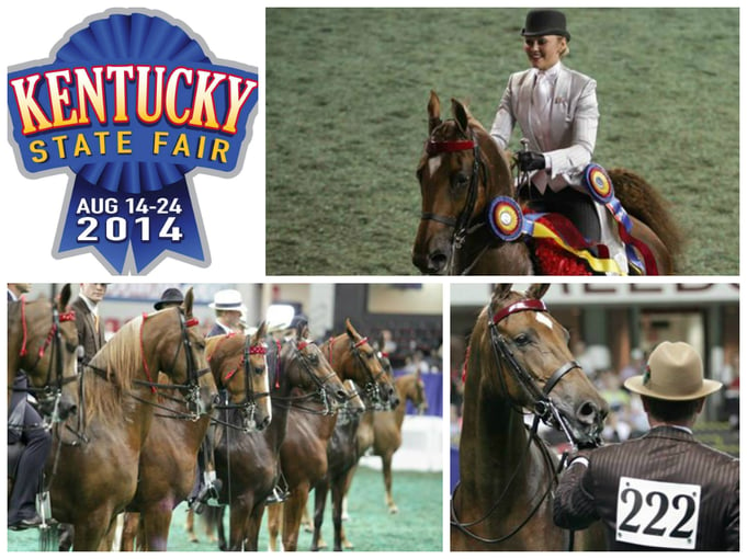 Kentucky state fair