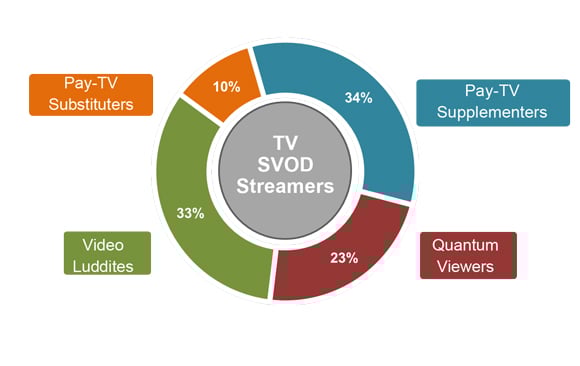 SVOD user segments